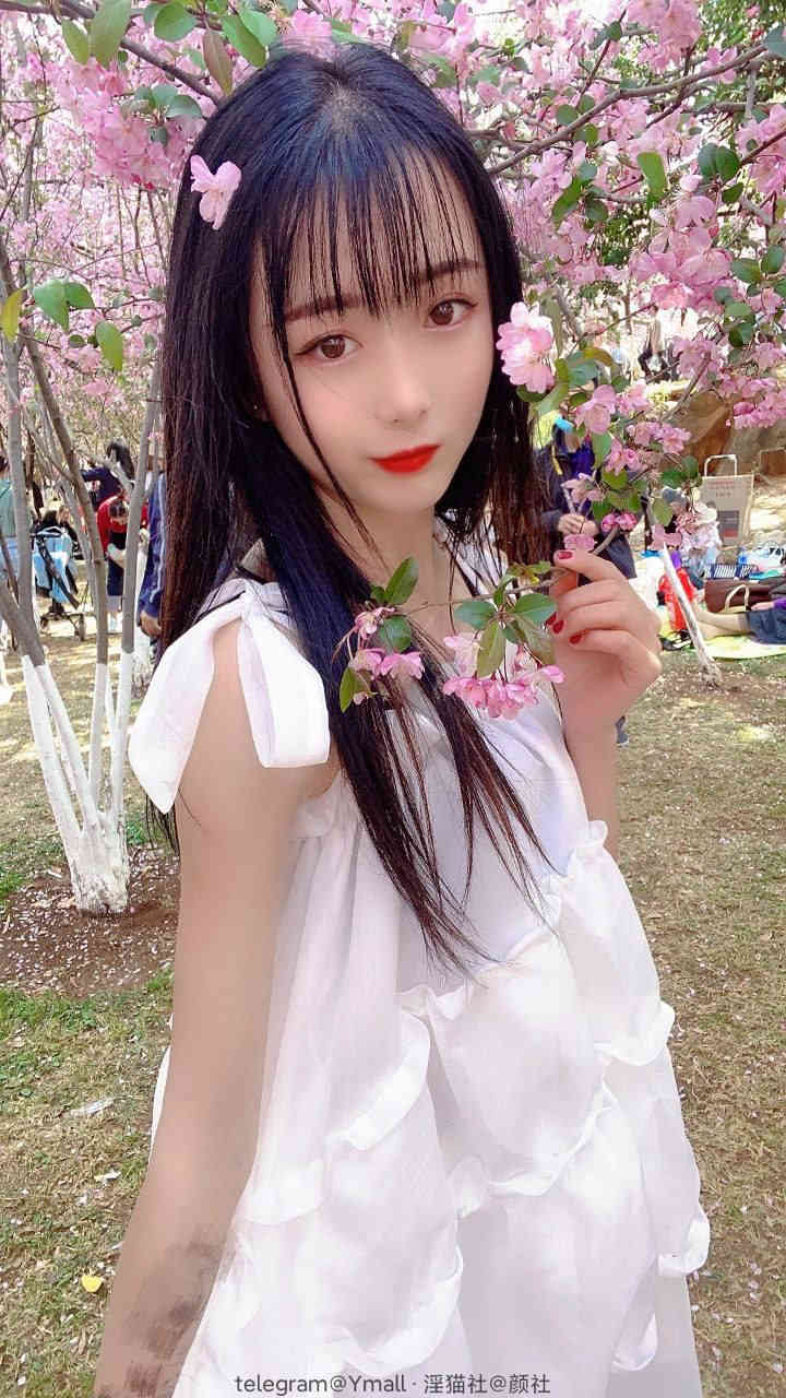 玻璃芦苇