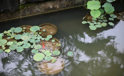 花季传媒APP每天免费3次观影在线观看