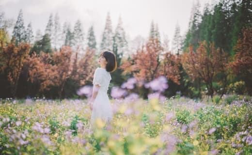 白莲花 泰剧